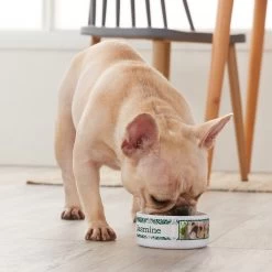 Frisco Boho Damask Ceramic Personalized Dog & Cat Bowl -Pet Dog Supplies Shop 250833 PT3. AC SS1800 V1610758070