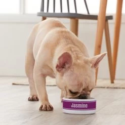 Frisco Preppy Stripes Ceramic Personalized Dog & Cat Bowl -Pet Dog Supplies Shop 250837 PT3. AC SS1800 V1610764911