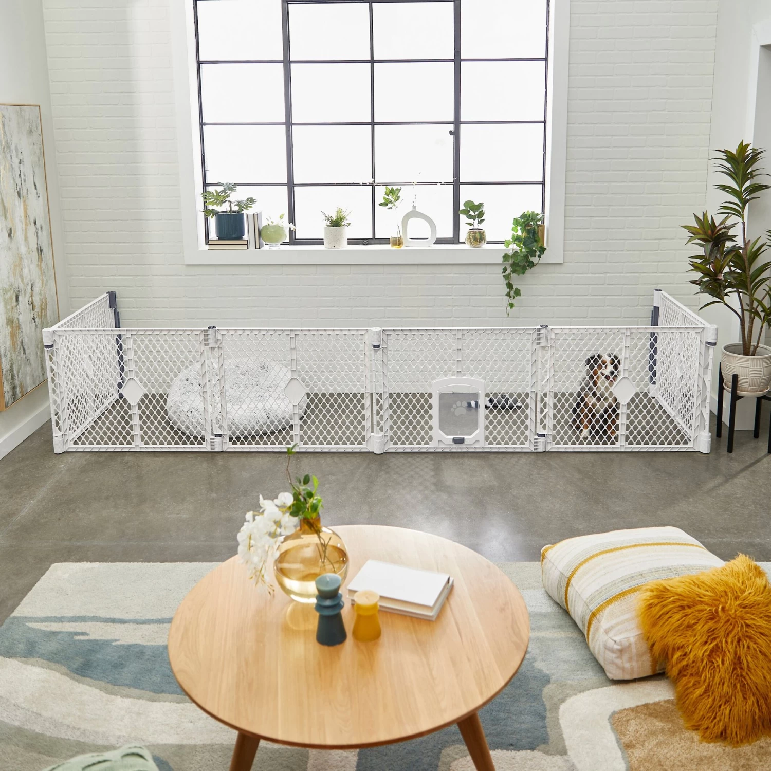 Frisco 6-Panel Plastic Exercise Dog Playpen, Light Gray 7 Frisco 6-Panel Plastic Exercise Dog Playpen, Light Gray - Image 7