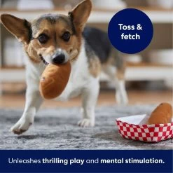 Frisco Corndog Interactive Plush Squeaky Dog Toy -Pet Dog Supplies Shop 252746 PT4. AC SS1800 V1695760990