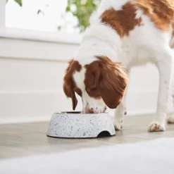 Frisco Quartz Design Stainless Steel Dog & Cat Bowl 11 Frisco Quartz Design Stainless Steel Dog & Cat Bowl -Pet Dog Supplies Shop 253044 PT2. AC SS1800 V1616526418