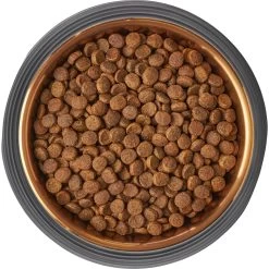 Frisco Matte Black Design Light Copper Stainless Steel Dog & Cat Bowl 13 Frisco Matte Black Design Light Copper Stainless Steel Dog & Cat Bowl -Pet Dog Supplies Shop 253051 PT5. AC SS1800 V1616526794