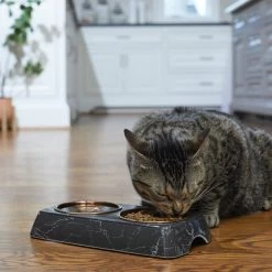 Frisco Copper Stainless Steel Double Dog & Cat Bowls With Black Marble Stand -Pet Dog Supplies Shop 253058 PT2. AC SS1800 V1616594213