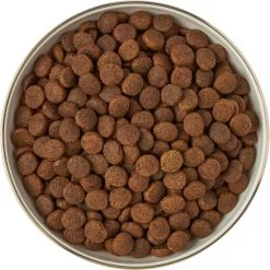 Frisco Gold Trim Melamine Dog & Cat Bowl -Pet Dog Supplies Shop 253062 PT5. AC SS1800 V1616595396