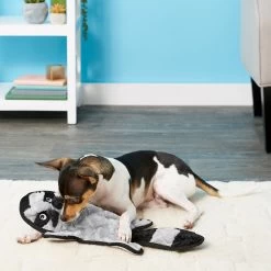 Frisco Alligator Stuffing-Free Flat Plush Squeaky Dog Toy & Frisco Raccoon Stuffing-Free Flat Plush Squeaky Dog Toy -Pet Dog Supplies Shop 255471 PT4. AC SS1800 V1602691287