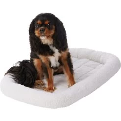 Frisco Heavy Duty Fold & Carry Single Door Collapsible Wire Dog Crate & Frisco Quilted Dog Crate Mat -Pet Dog Supplies Shop 255551 PT4. AC SS1800 V1604096523