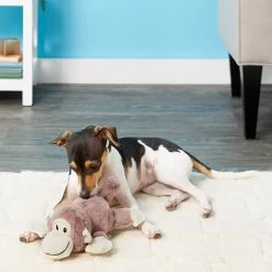 Frisco Monkey Plush Squeaky Dog Toy & Frisco Fox Plush Squeaky Dog Toy 7 Frisco Monkey Plush Squeaky Dog Toy & Frisco Fox Plush Squeaky Dog Toy -Pet Dog Supplies Shop 255597 PT2. AC SS1800 V1602702685