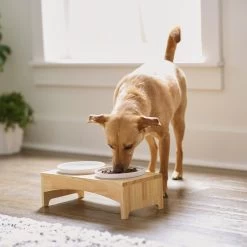 Frisco Ceramic Dog & Cat Double Diner With Elevated Wood Stand 8 Frisco Ceramic Dog & Cat Double Diner With Elevated Wood Stand -Pet Dog Supplies Shop 256052 PT2. AC SS1800 V1615311142