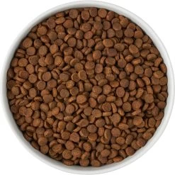 Frisco Paw Prints Non-skid Ceramic Bowl -Pet Dog Supplies Shop 256072 PT5. AC SS1800 V1615312318