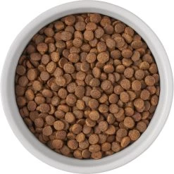 Frisco Bones Non-skid Ceramic Dog & Cat Bowl -Pet Dog Supplies Shop 256074 PT5. AC SS1800 V1615312010