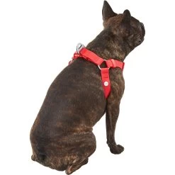 Frisco Outdoor Solid Textured Waterproof Stink Proof PVC Dog Harness -Pet Dog Supplies Shop 256518 PT3. AC SS1800 V1625164999