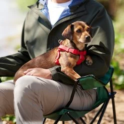 Frisco Outdoor Solid Textured Waterproof Stink Proof PVC Dog Harness -Pet Dog Supplies Shop 256518 PT5. AC SS1800 V1625587387