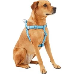 Frisco Outdoor Two Tone Waterproof Stinkproof PVC Dog Harness -Pet Dog Supplies Shop 256580 PT2. AC SS1800 V1625164701