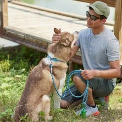 Frisco Outdoor Waterproof Stinkproof PVC Rope Leash -Pet Dog Supplies Shop 256759 PT5. AC SS1800 V1625589494