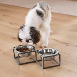 Frisco Elevated Diamond Stainless Steel Double Diner Dog & Cat Bowl -Pet Dog Supplies Shop 257147 PT8. AC SS1800 V1615840442