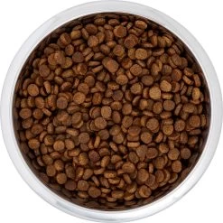 Frisco Black Iron Non-Skid Stainless Steel Dog & Cat Bowl 12 Frisco Black Iron Non-Skid Stainless Steel Dog & Cat Bowl -Pet Dog Supplies Shop 257152 PT4. AC SS1800 V1615311427