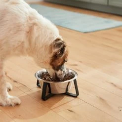 Frisco Black Iron Non-Skid Stainless Steel Dog & Cat Bowl 13 Frisco Black Iron Non-Skid Stainless Steel Dog & Cat Bowl -Pet Dog Supplies Shop 257152 PT5. AC SS1800 V1692989519