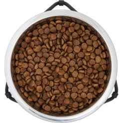 Frisco Triangle Iron Non-Skid Elevated Dog & Cat Bowl 12 Frisco Triangle Iron Non-Skid Elevated Dog & Cat Bowl -Pet Dog Supplies Shop 257155 PT4. AC SS1800 V1615311701