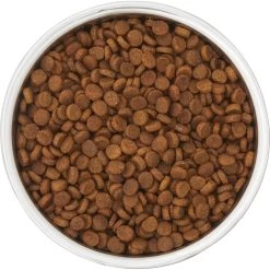 Frisco Insulated Two-Toned Non-Skid Stainless Steel Dog & Cat Bowl 11 Frisco Insulated Two-Toned Non-Skid Stainless Steel Dog & Cat Bowl -Pet Dog Supplies Shop 257168 PT4. AC SS1800 V1612367255