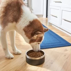 Frisco Insulated Two-Toned Non-Skid Stainless Steel Dog & Cat Bowl 13 Frisco Insulated Two-Toned Non-Skid Stainless Steel Dog & Cat Bowl -Pet Dog Supplies Shop 257168 PT8. AC SS1800 V1615840126