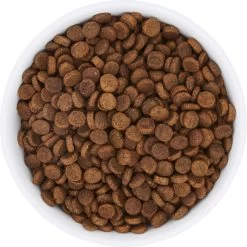 Frisco Bohemian Non-Skid Stainless Steel Dog & Cat Bowl -Pet Dog Supplies Shop 257195 PT4. AC SS1800 V1615311089