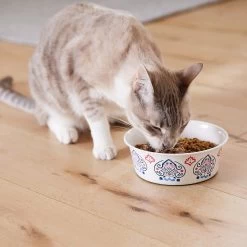 Frisco Bohemian Non-Skid Stainless Steel Dog & Cat Bowl -Pet Dog Supplies Shop 257195 PT7. AC SS1800 V1615989147