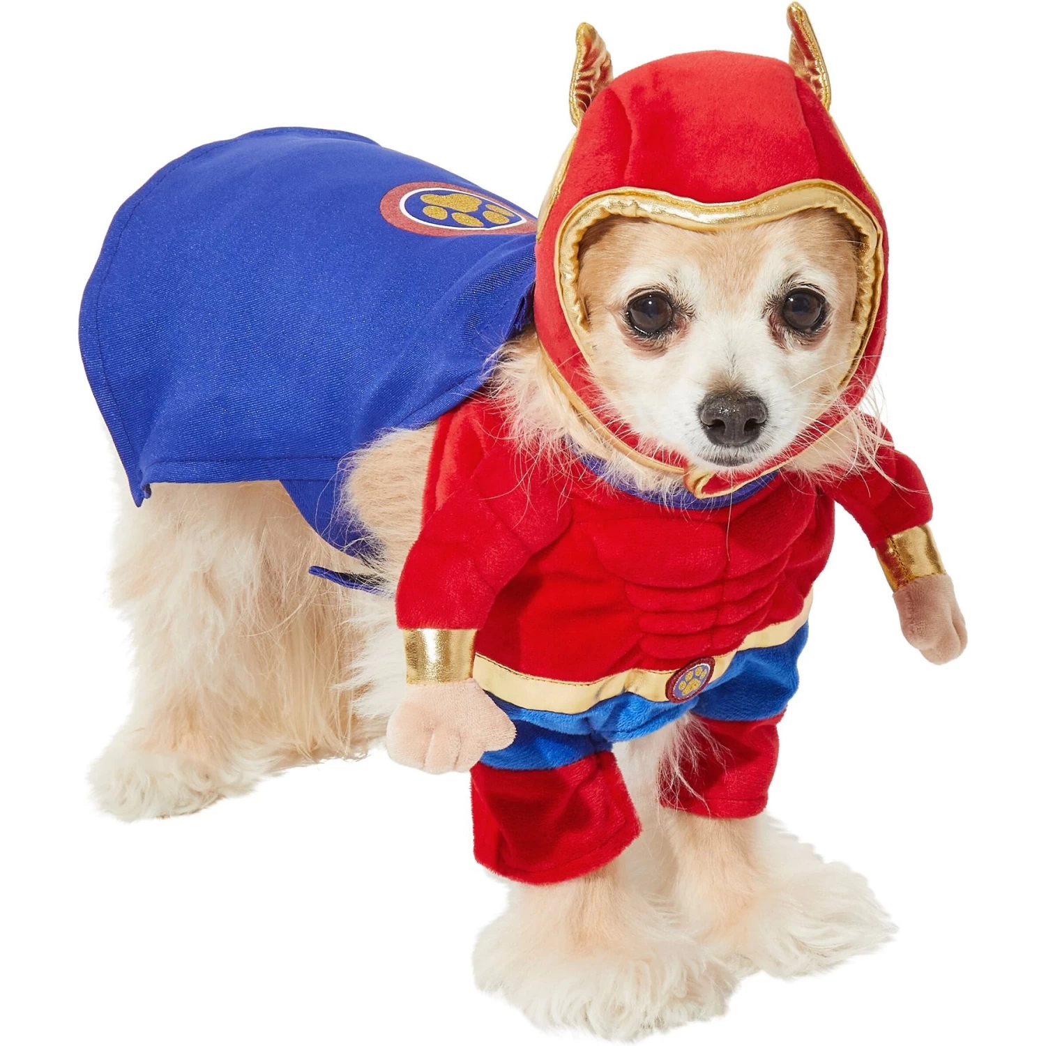 Frisco Front Walking Superhero Dog & Cat Costume 4 Frisco Front Walking Superhero Dog & Cat Costume - Image 4