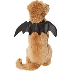 Frisco Bat Wings Dog & Cat Costume -Pet Dog Supplies Shop 261113 PT2. AC SS1800 V1625077070
