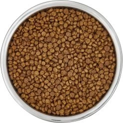 Frisco Insulated Non-Skid Flair Stainless Steel Dog & Cat Bowl -Pet Dog Supplies Shop 261753 PT4. AC SS1800 V1623937583