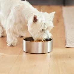 Frisco Insulated Non-Skid Flair Stainless Steel Dog & Cat Bowl -Pet Dog Supplies Shop 261753 PT8. AC SS1800 V1623937545