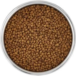 Frisco Insulated Non-Skid Stainless Steel Dog & Cat Bowl -Pet Dog Supplies Shop 261757 PT4. AC SS1800 V1623937392