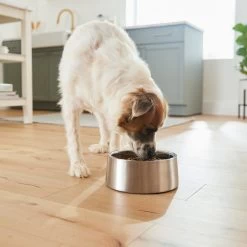 Frisco Insulated Non-Skid Stainless Steel Dog & Cat Bowl -Pet Dog Supplies Shop 261757 PT8. AC SS1800 V1623937364
