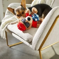 Frisco Road Trip Tourist Bear Plush Squeaky Dog Toy -Pet Dog Supplies Shop 261995 PT3. AC SS1800 V1618598730