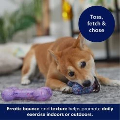 Frisco Birthday TPR Fetch Bone Squeaky Dog Toy 10 Frisco Birthday TPR Fetch Bone Squeaky Dog Toy -Pet Dog Supplies Shop 264422 PT4. AC SS1800 V1695760988