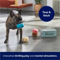 Frisco Macaron Interactive Plush Squeaky Dog Toy -Pet Dog Supplies Shop 264438 PT5. AC SS1800 V1686579089