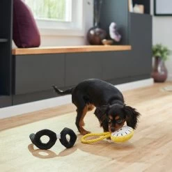 Frisco Magic Pocket Watch & Glasses Plush Squeaky Dog Toy, 2 Count 5 Frisco Magic Pocket Watch & Glasses Plush Squeaky Dog Toy, 2 Count -Pet Dog Supplies Shop 265590 PT3. AC SS1800 V1620938935