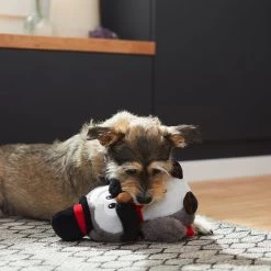 Frisco Magic Owl Plush Squeaky Dog Toy 5 Frisco Magic Owl Plush Squeaky Dog Toy -Pet Dog Supplies Shop 265596 PT3. AC SS1800 V1623352167