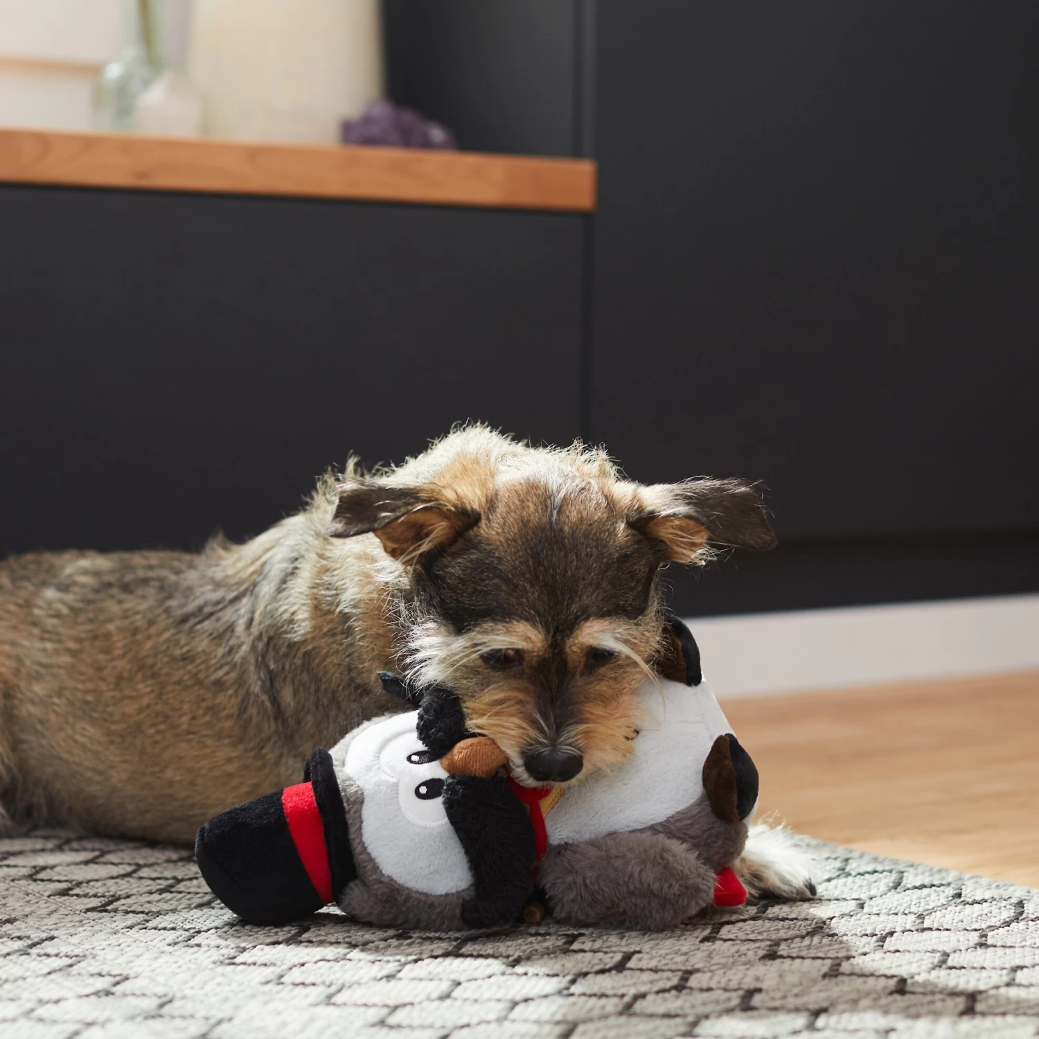 Frisco Magic Owl Plush Squeaky Dog Toy 3 Frisco Magic Owl Plush Squeaky Dog Toy - Image 3