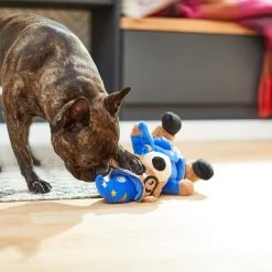 Frisco Magic Wizard Bear Plush Squeaky Dog Toy -Pet Dog Supplies Shop 265604 PT3. AC SS1800 V1623352109