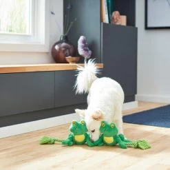 Frisco Magic Frog Plush With Rope Squeaky Dog Toy 5 Frisco Magic Frog Plush With Rope Squeaky Dog Toy -Pet Dog Supplies Shop 265606 PT3. AC SS1800 V1620938889