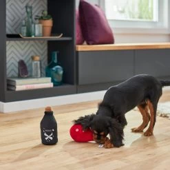 Frisco Magic Potions Plush Squeaky Dog Toy -Pet Dog Supplies Shop 265618 PT3. AC SS1800 V1620939183