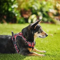 Frisco Padded Reflective Harness 8 Frisco Padded Reflective Harness -Pet Dog Supplies Shop 266770 PT2. AC SS1800 V1624542468