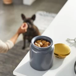 Frisco Modern Gold Rim Ceramic Treat Jar -Pet Dog Supplies Shop 270190 PT2. AC SS1800 V1620762371