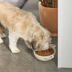 Frisco Dog Face Non-skid Ceramic Cat & Dog Bowl -Pet Dog Supplies Shop 270226 PT2. AC SS1800 V1620762156