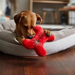 Frisco Halloween Wicked Cute Bone Reversible Plush Squeaky Dog Toy 9 Frisco Halloween Wicked Cute Bone Reversible Plush Squeaky Dog Toy -Pet Dog Supplies Shop 270357 PT3. AC SS1800 V1624817551