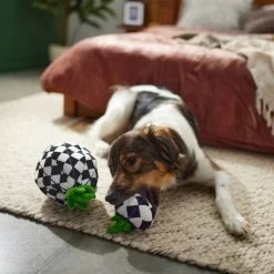 Frisco Halloween Fancy Pumpkin 2-in-1 Plush Squeaky Dog Toy -Pet Dog Supplies Shop 270359 PT3. AC SS1800 V1624817665