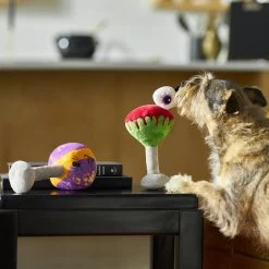 Frisco Halloween Cocktail Plush Squeaky Dog Toy -Pet Dog Supplies Shop 270361 PT3. AC SS1800 V1624817495