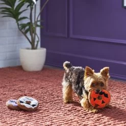 Frisco Halloween Donuts Plush Squeaky Dog Toy -Pet Dog Supplies Shop 270369 PT3. AC SS1800 V1624817409