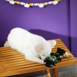Frisco Halloween Good Witch, Bad Witch Reversible Plush Squeaky Dog Toy -Pet Dog Supplies Shop 270429 PT3. AC SS1800 V1624817643