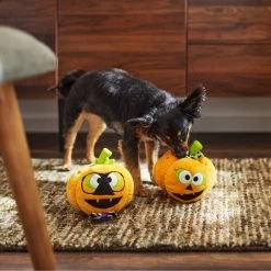 Frisco Halloween Nerdy Jack-o-Lanterns Plush Squeaky Dog Toy -Pet Dog Supplies Shop 270431 PT3. AC SS1800 V1624817796